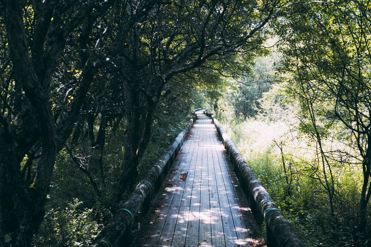 散歩道