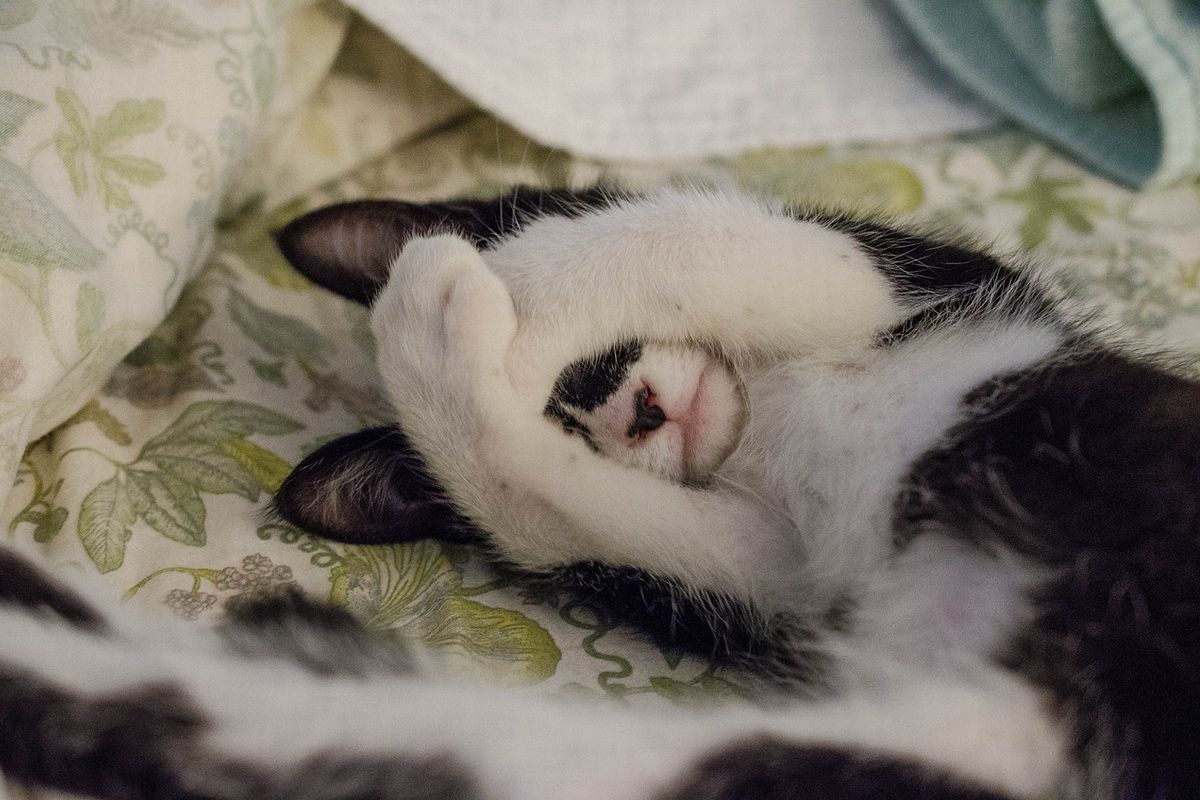 眠れない夜にやってはいけない5つのこと──高齢者のための快眠のヒント