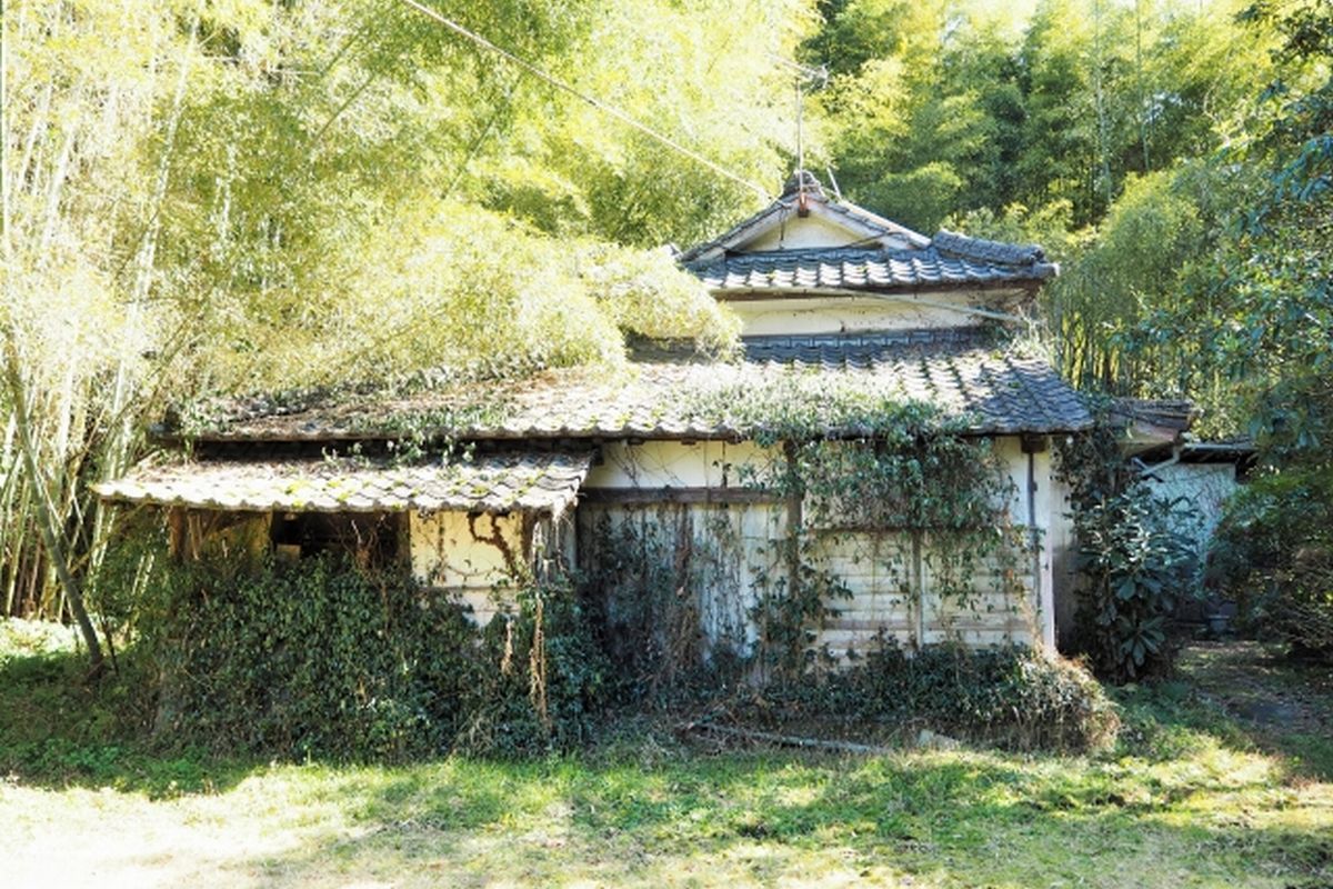 植物に侵食され、朽ちかけた古い家屋の写真。親から相続したものの誰も住まなくなった実家や空き家問題を象徴するイメージ。